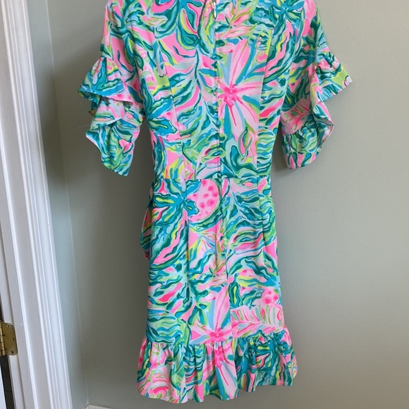 Lilly Pulitzer Dress - Picture 2 of 4